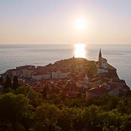 Отель Mirna - Terme & Wellness Lifeclass 4*