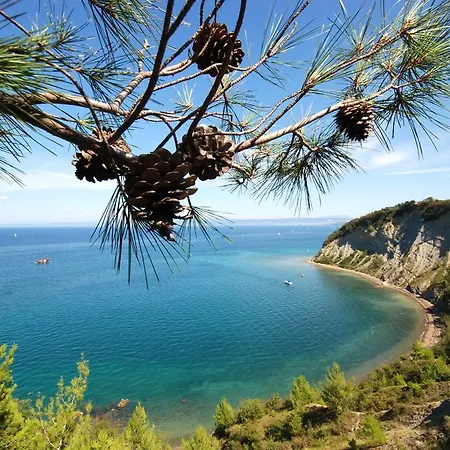 Mirna - Terme & Wellness Lifeclass