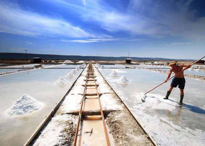 Mirna - Terme & Wellness Lifeclass Hotel 4*